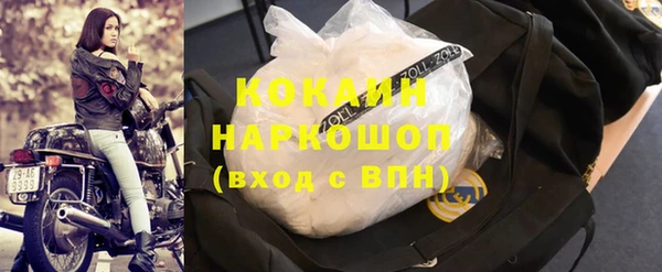 2c-b Бородино