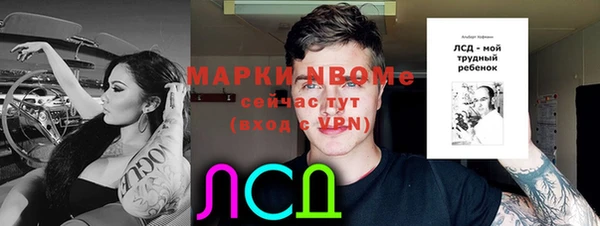 2c-b Бородино