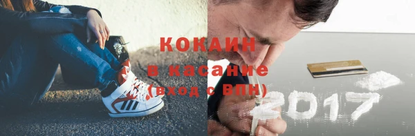 2c-b Бородино