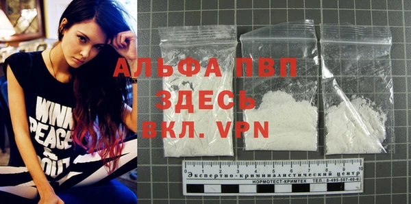 2c-b Бородино